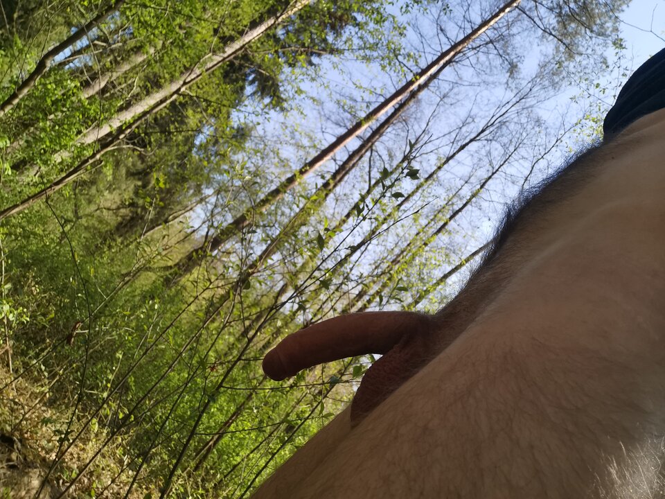 IMG_20260418_100550.jpg - Szczuply435