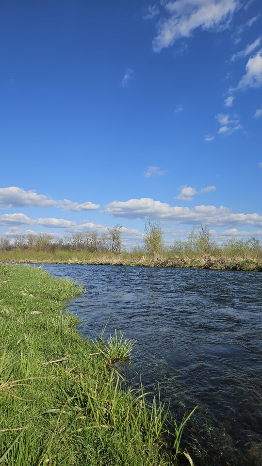 1000054436.jpg - nowytomas