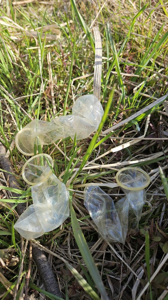 1000054450.jpg - nowytomas