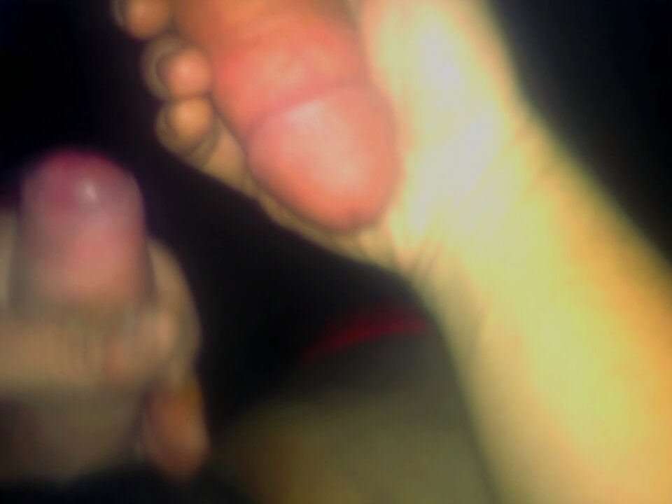 1000066572.jpg - polatrans