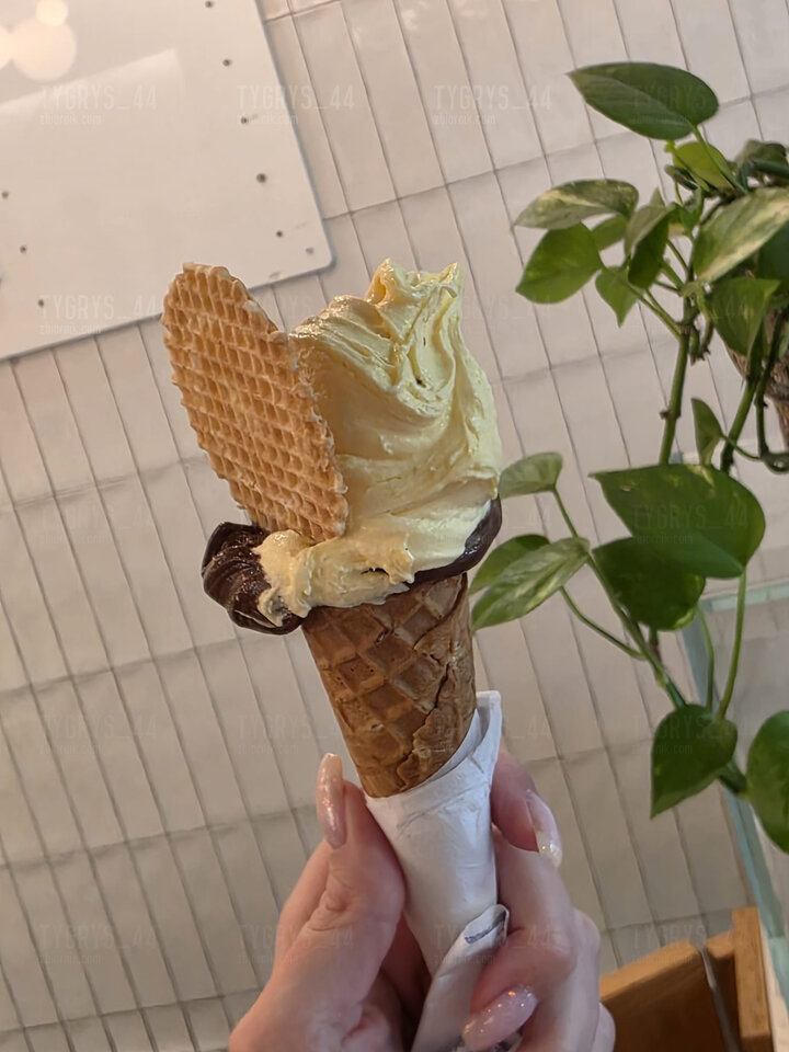 1000029303.jpg - Tygrys_44