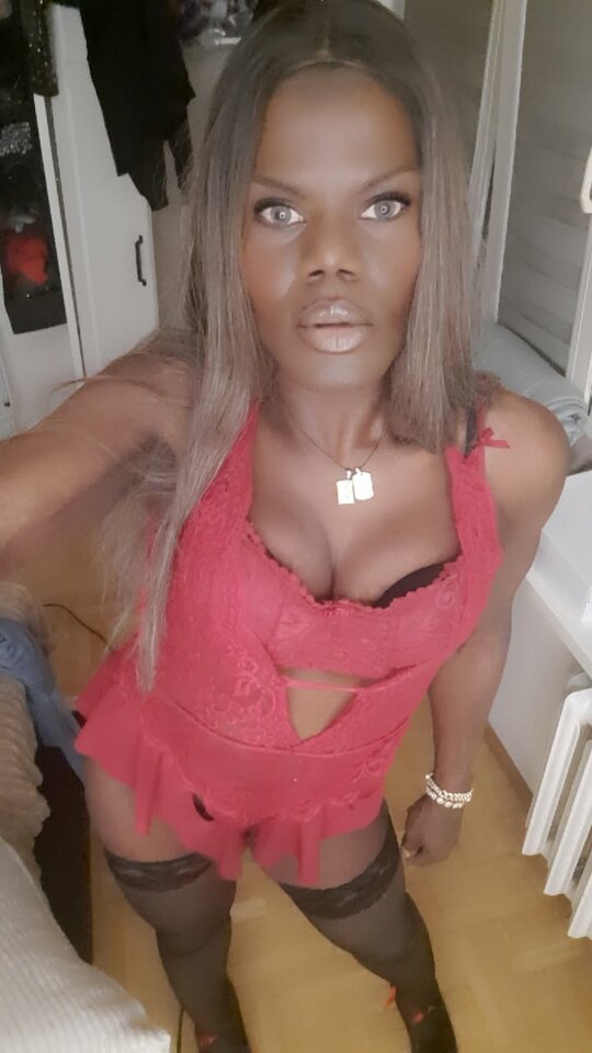 Snapchat-523717216.jpg - OniJegoTrans