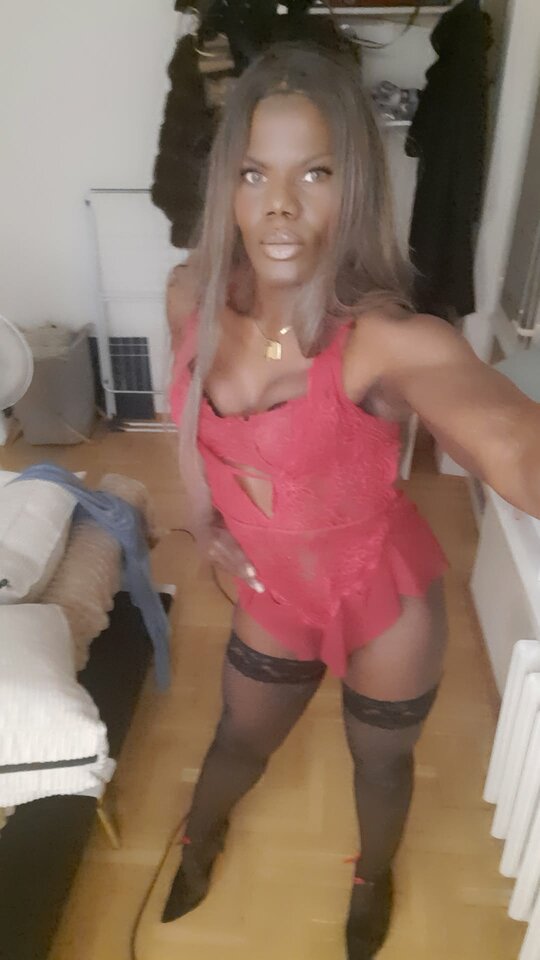 Snapchat-1306830560.jpg - OniJegoTrans