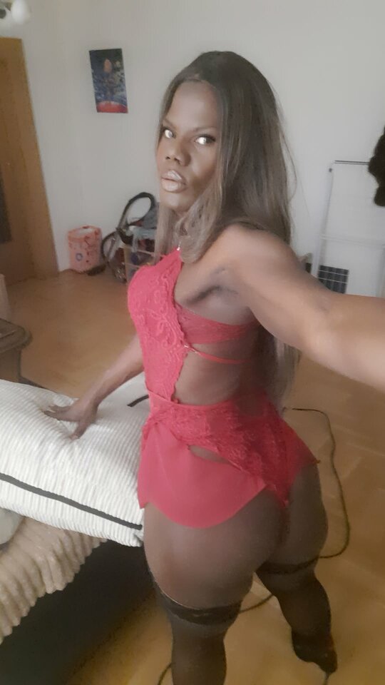 Snapchat-438101936.jpg - OniJegoTrans