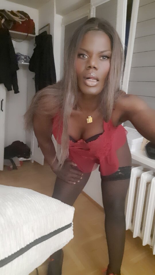 Snapchat-1348941590.jpg - OniJegoTrans