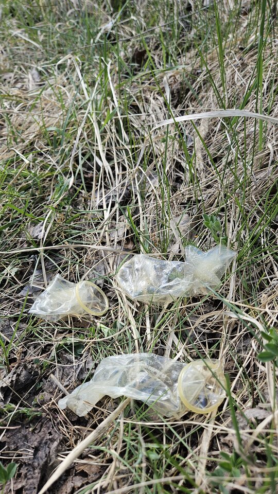 19.04.2026 - nowytomas