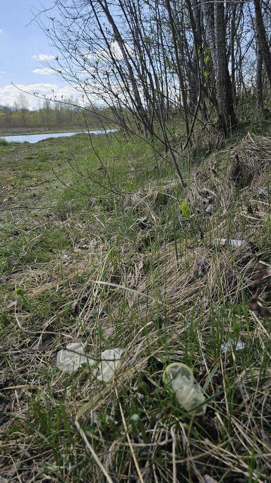 19.04.2026 - nowytomas