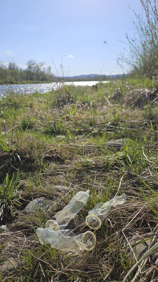 10.04.2026 - nowytomas