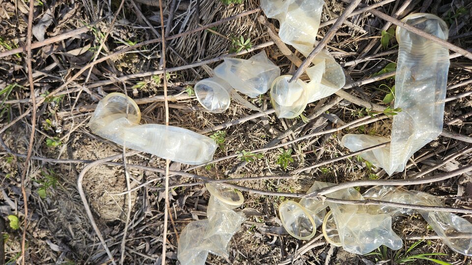 19.04.2026 - nowytomas