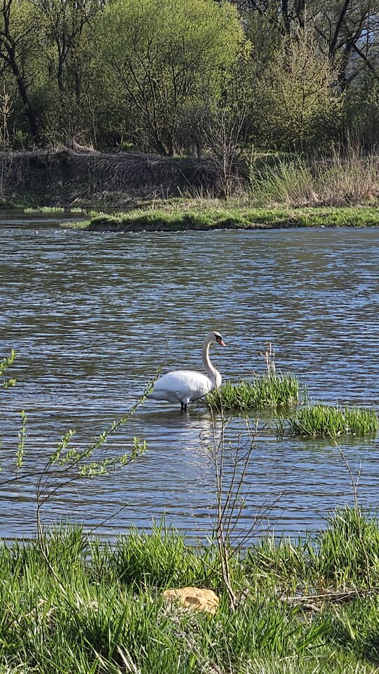 19.04.2026 - nowytomas