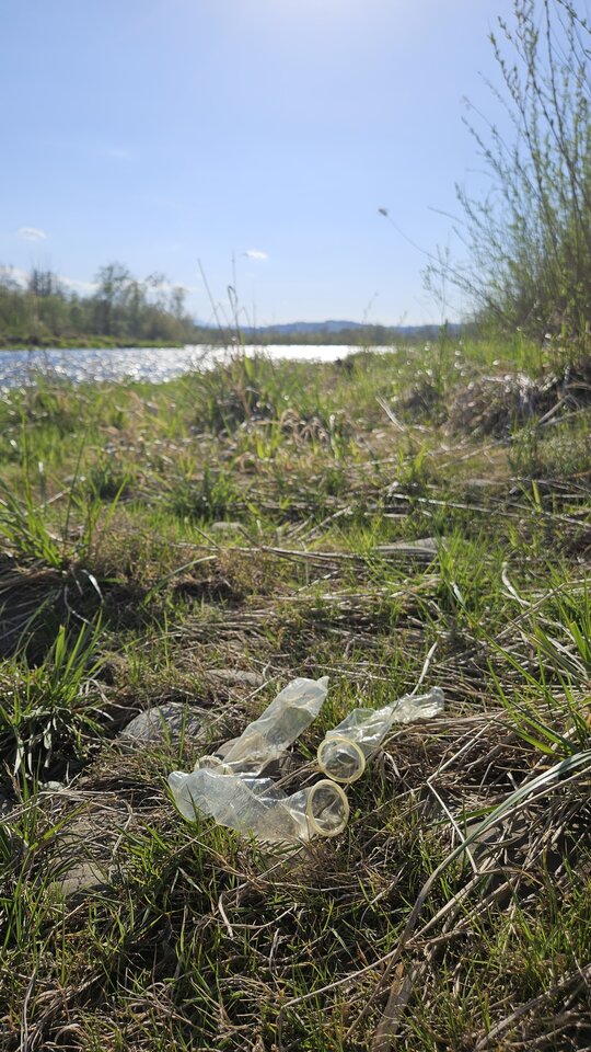 19.04.2026 - nowytomas