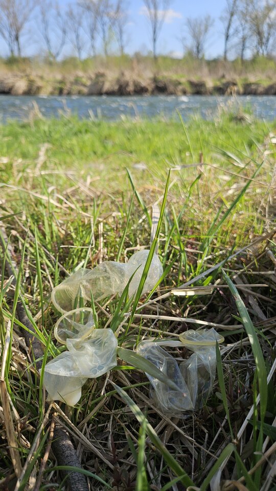 19.04.2026 - nowytomas