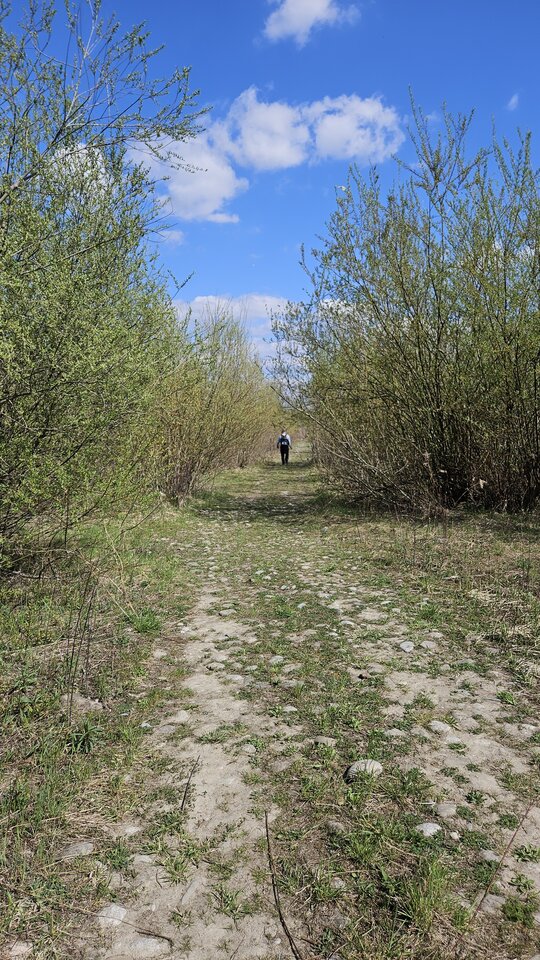 1000054406.jpg - nowytomas