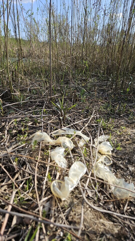 19.04.2026 - nowytomas