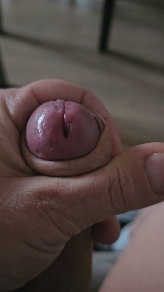 1000021520.jpg - Fast_fourius