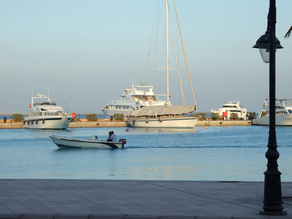 1000084601.jpg - Tomee80