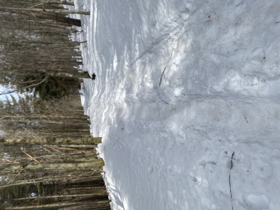 IMG_5433.jpeg - apolloafrodyta70