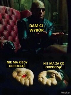 Mamy wolny wybór. .jpg