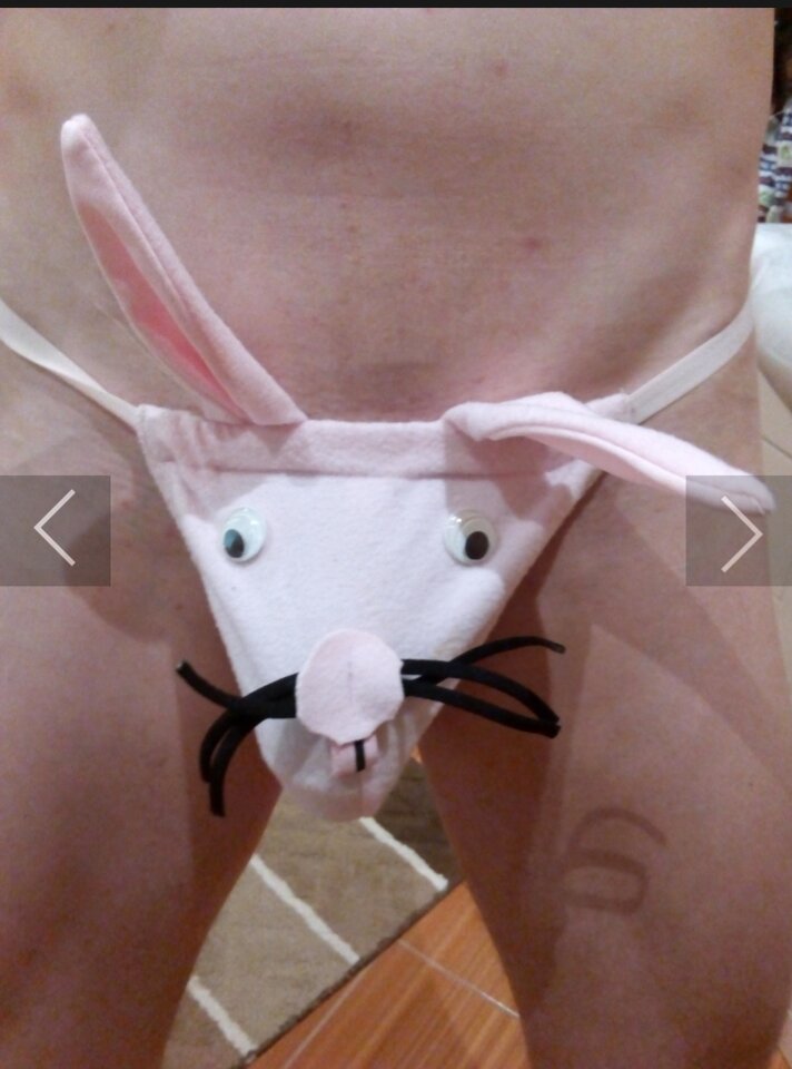 1000010267.jpg - misie2018