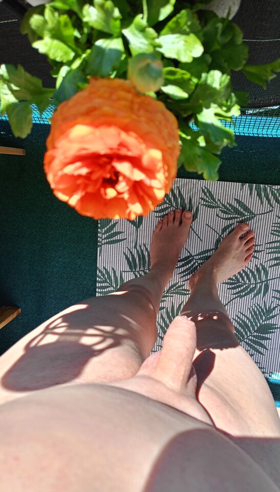 1000113119.jpg - Mar7669