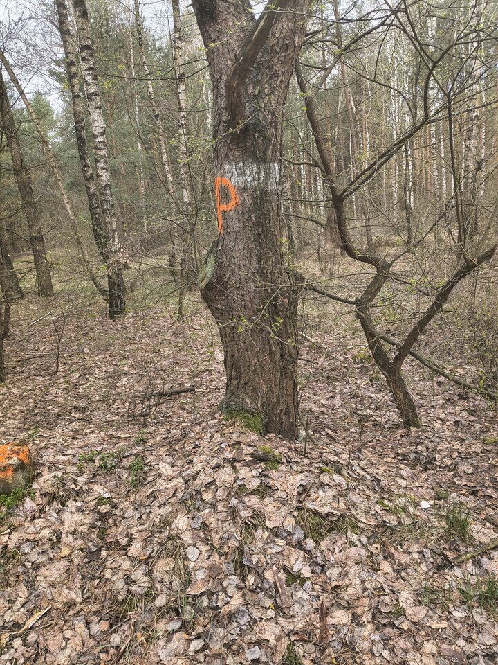 1000003186.jpg - Golaska85