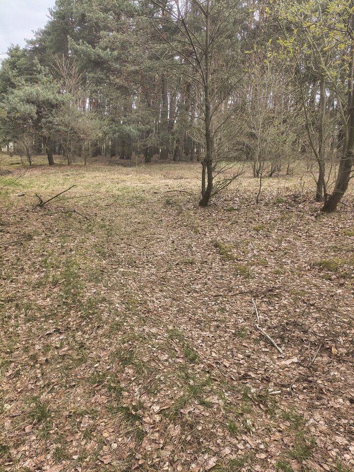 1000003187.jpg - Golaska85