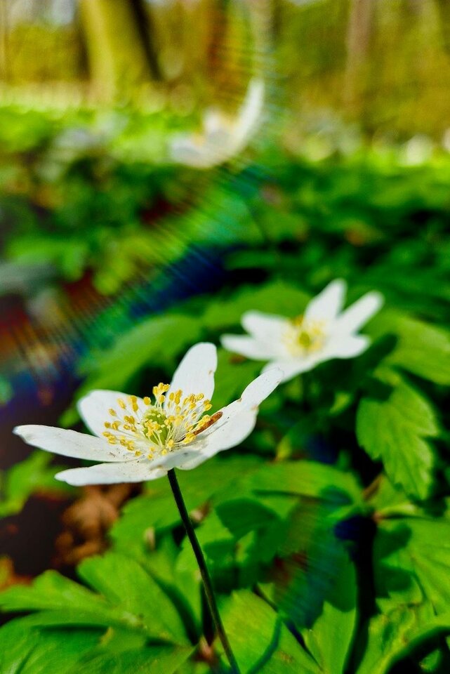 1000035045.jpg - OnaZakreconaLodz1