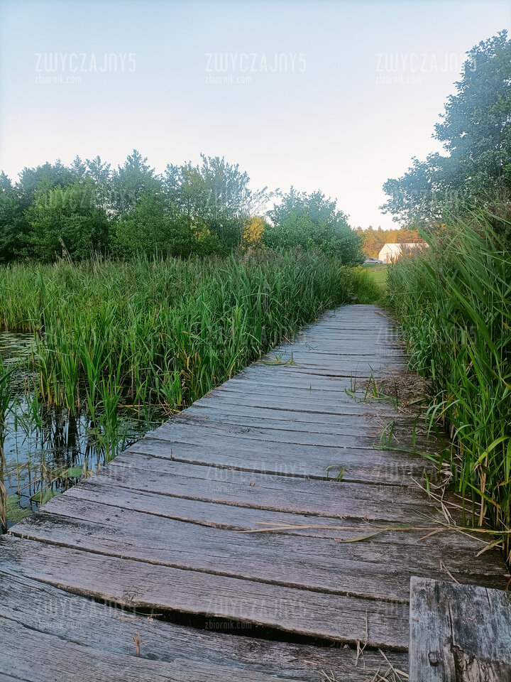 1e65605a-55dc-4e18-9032-db1cbdb77b70-1_all_396.jpg - Zwyczajny5