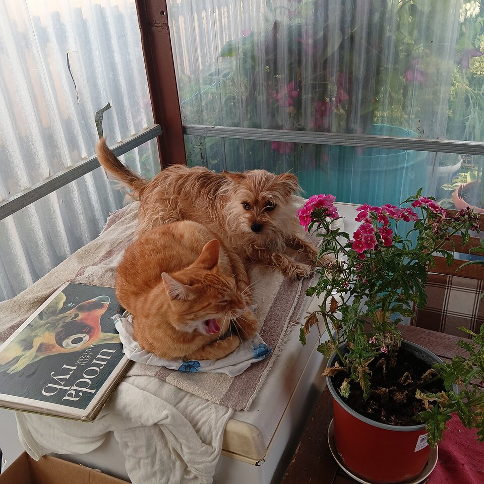 ab5330d3-38b5-4675-b305-24be11475f22-1_all_60.jpg - Wszolek