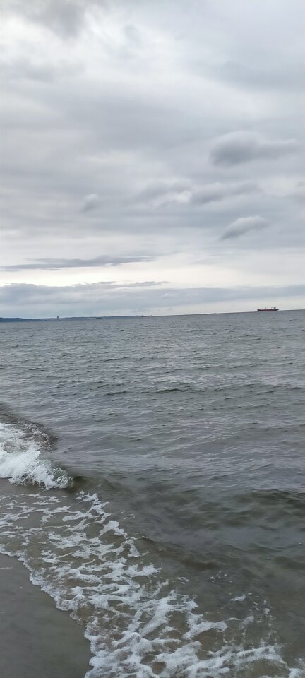 ab5330d3-38b5-4675-b305-24be11475f22-1_all_1179.jpg - Wszolek