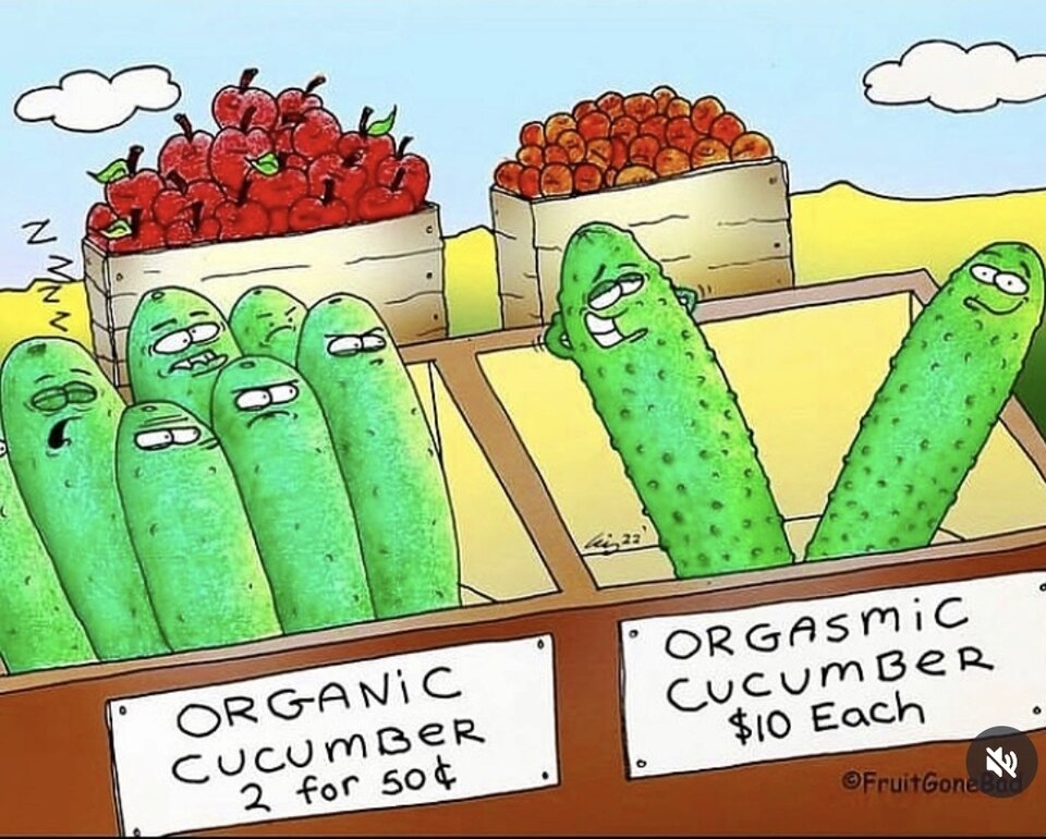 1000041772.jpg - BezpanskaS