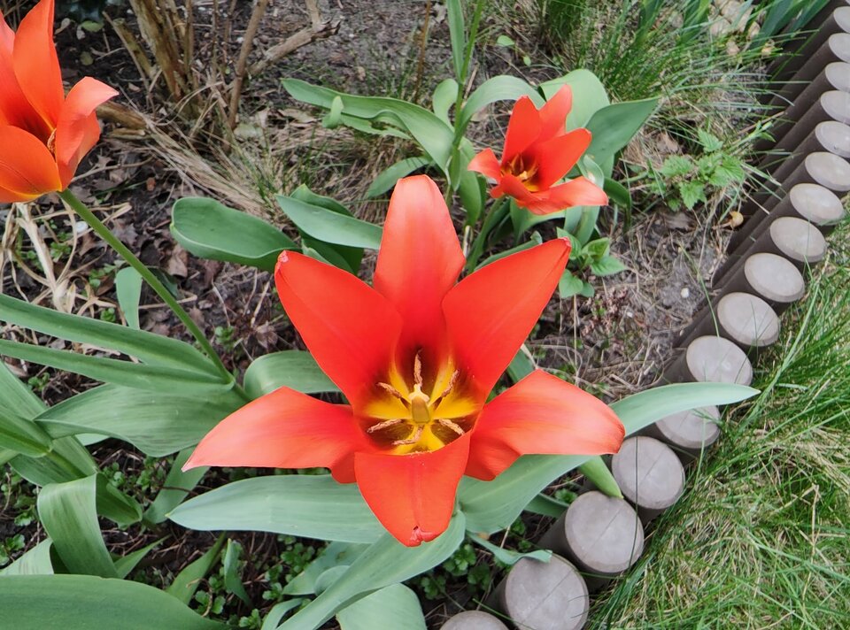 IMG-20260419-WA0000.jpg - Boby69___