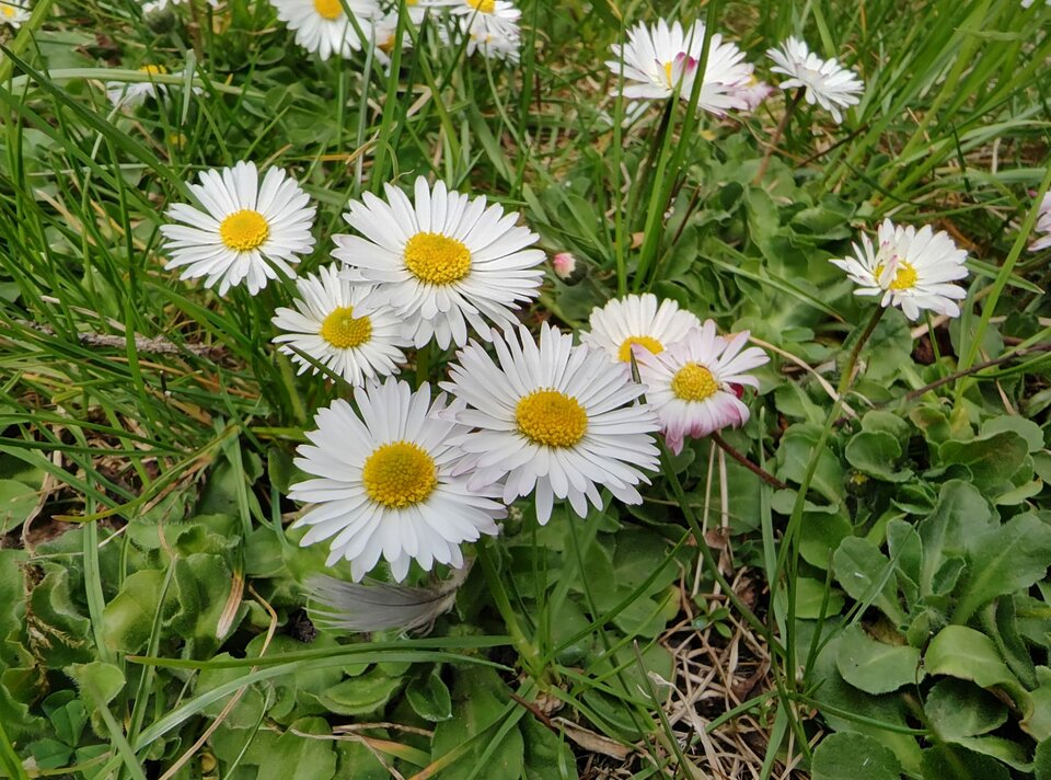 IMG-20260419-WA0002.jpg - Boby69___