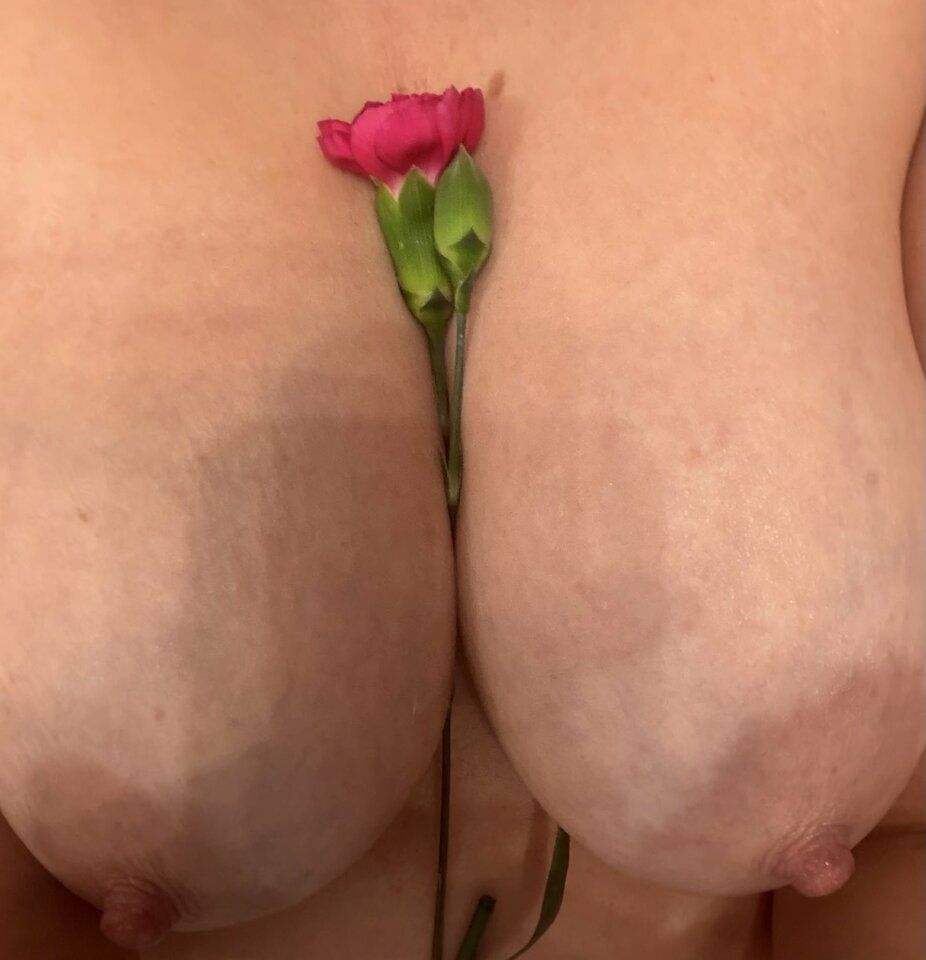 Lubi ktoś goździki ? - SlodziakiOni