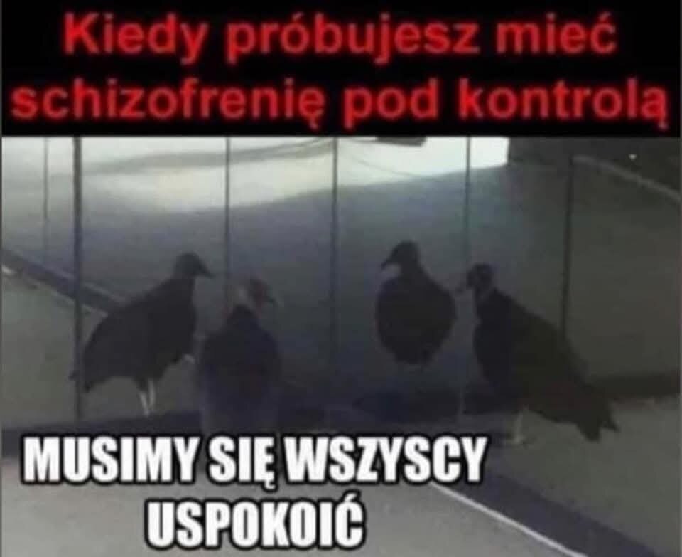 1000001376.jpg - fantasy555