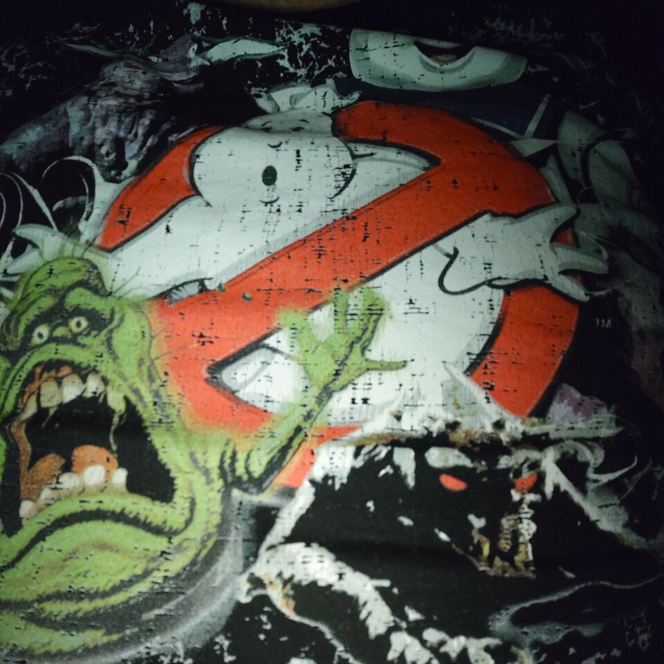 12950.jpg - Poznaniakjw