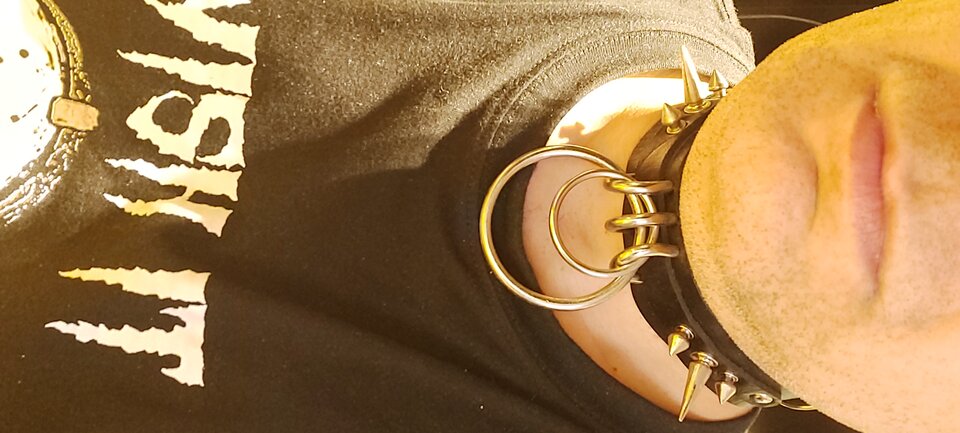 20251128_204707.jpg - Slavedog80