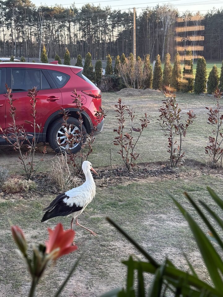 IMG_7309.jpeg - WiecznieNiewyzyty