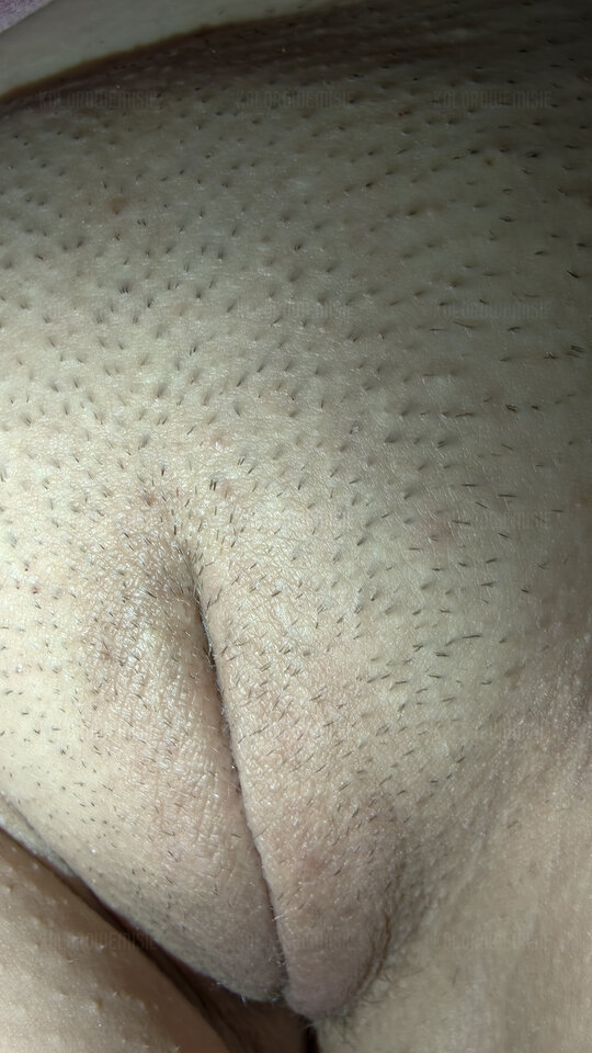 1000029169.jpg - kolorowemisie