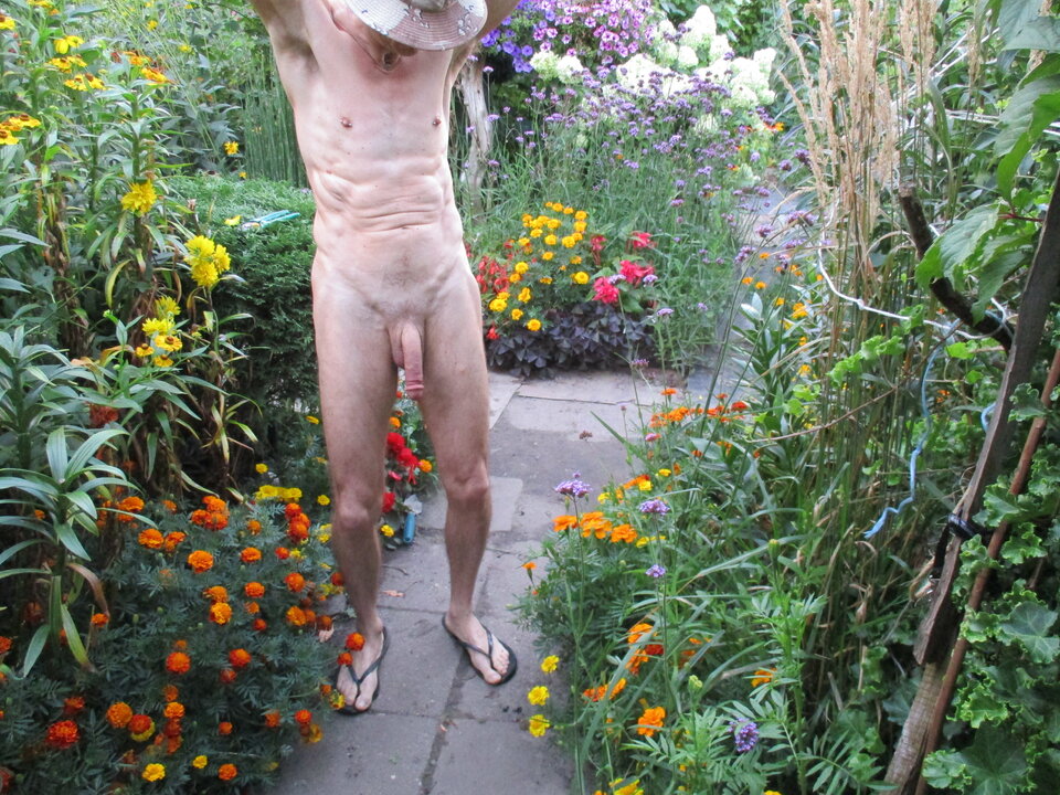 IMG_6652.JPG - gawel35