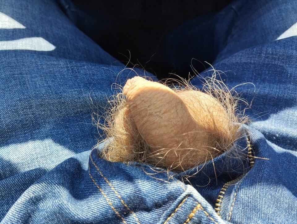 1000035613.jpg - malyTomi13