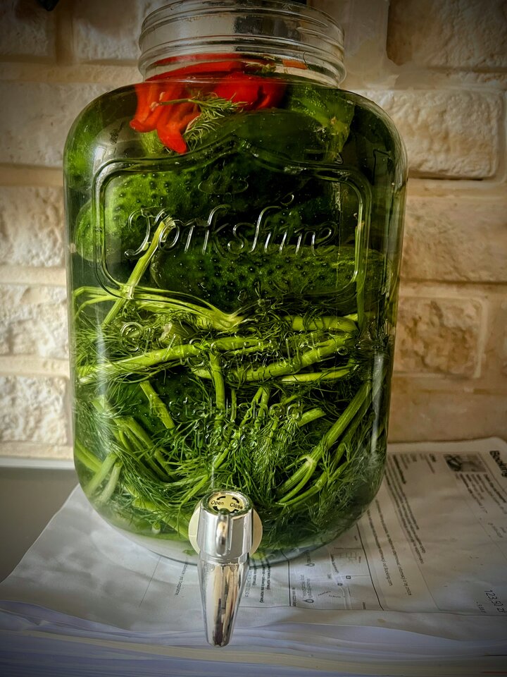 IMG_69.jpeg - RobertRM