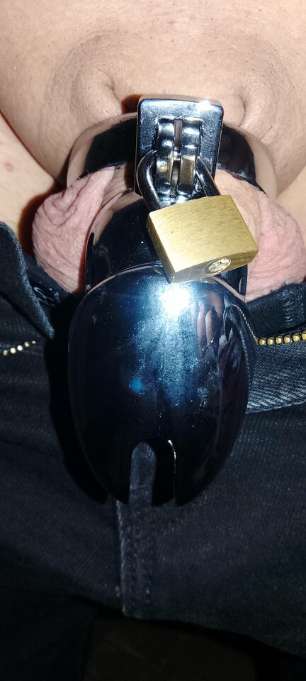 1000004011.jpg - damian6819