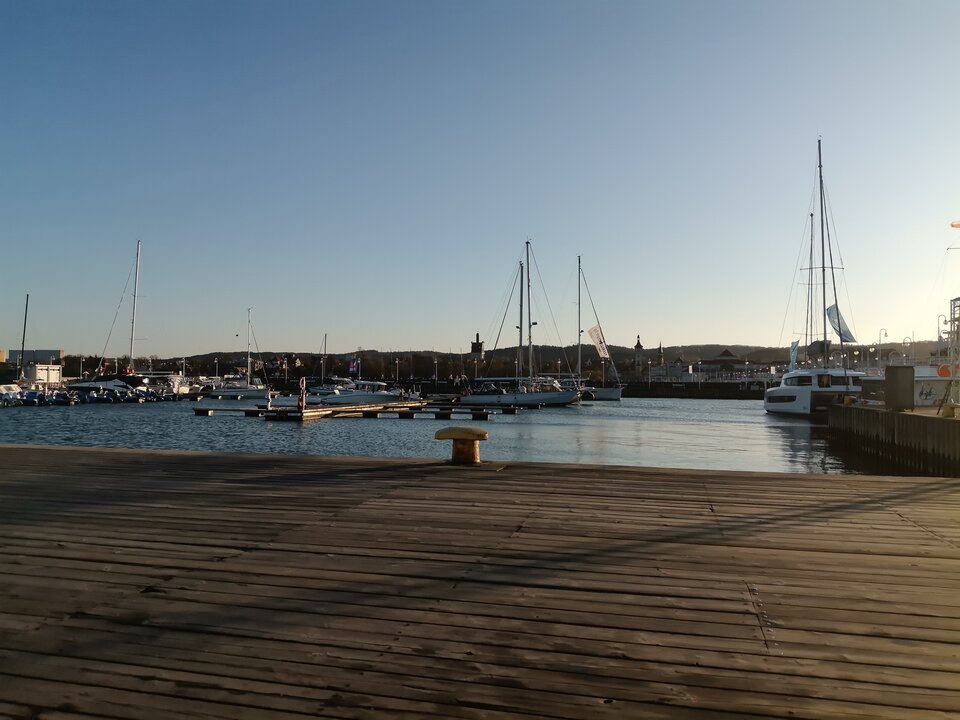 17767036588434096840525068264924.jpg - WiktoriaZwyciestwo69