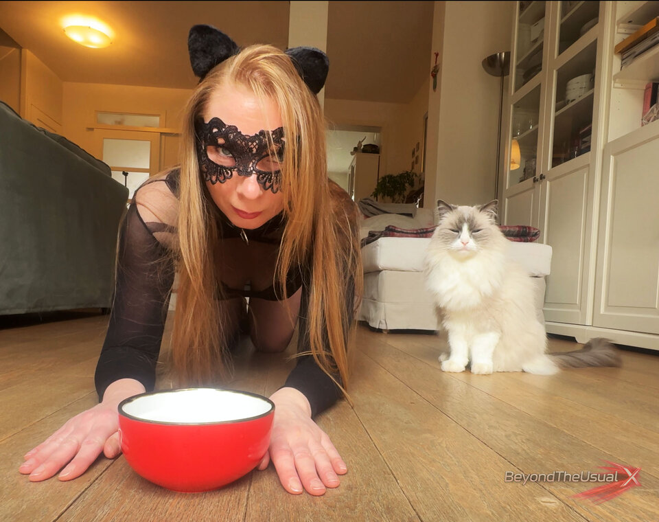 Kto pił z mojej miseczki..? 🐈‍⬛ - BeyondTheUsualX