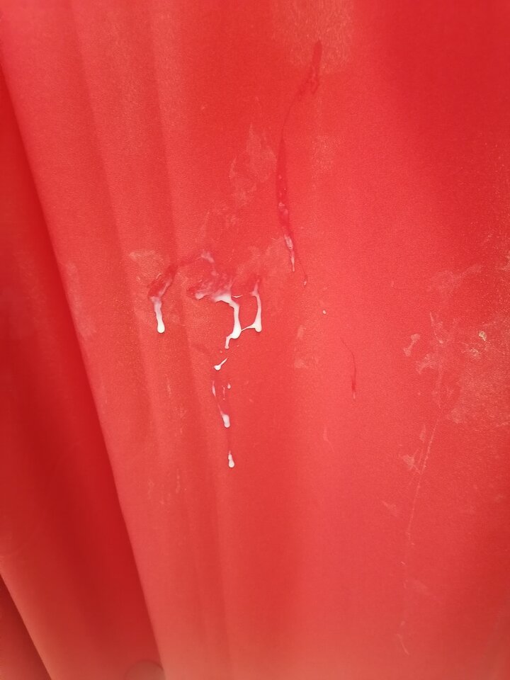 IMG_20260421_105613.jpg - VikyCristina