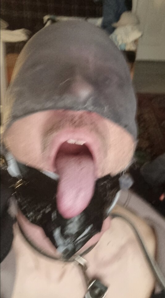 1000172120.jpg - DlaDomi_on81