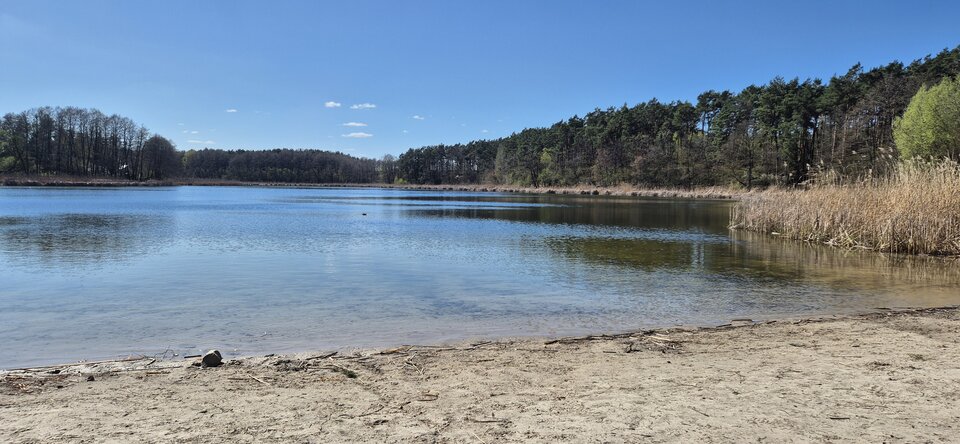 1000010298.jpg - OlaPiotrBYDGOSZCZ