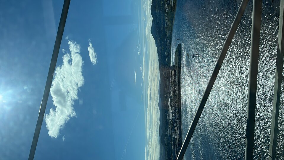 E42E09E1-6955-4029-932C-11C41CDF5A5B.jpeg - tom745