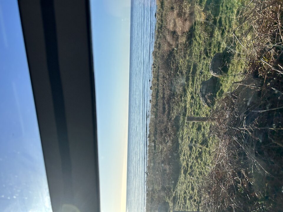 IMG_3752.jpeg - tom745